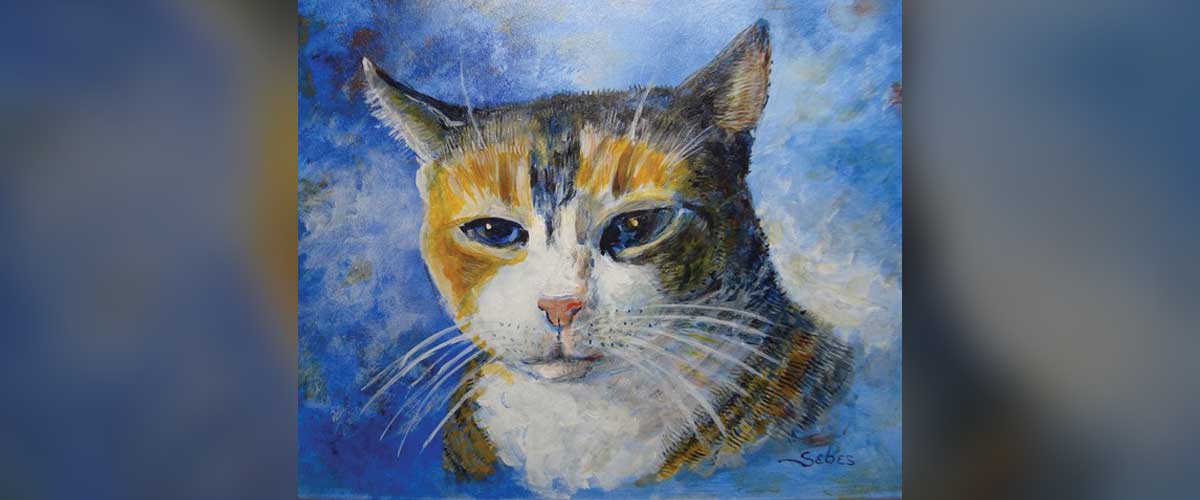 tabby torby cat portrait