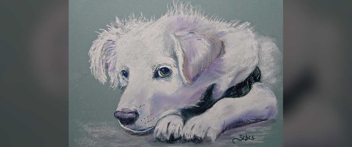watercolor portrait of a dog