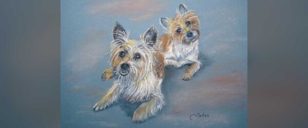 Pastel pet portrait of two small dogs