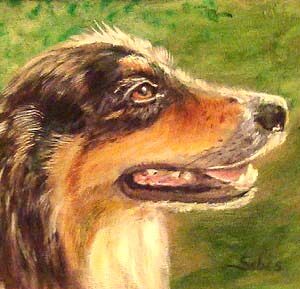 Pet portrait of a dog in pastel