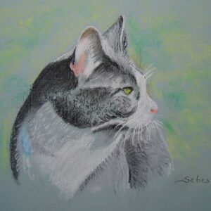 Pet portrait of a cat in pastel