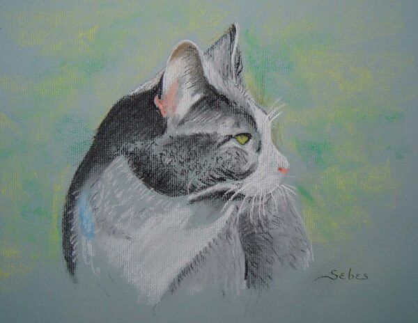 Pet portrait of a cat in pastel