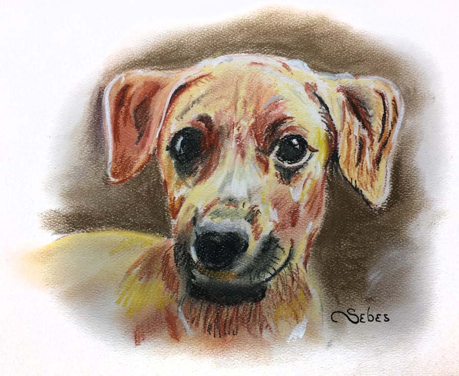 Pet portrait of a dog in pastel