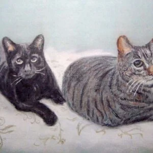 Pet portrait of a two cats in pastel