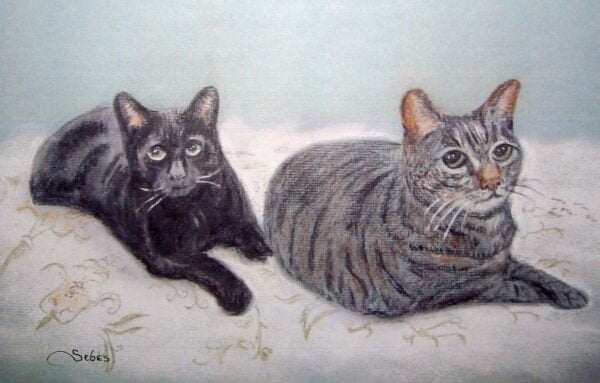 Pet portrait of a two cats in pastel