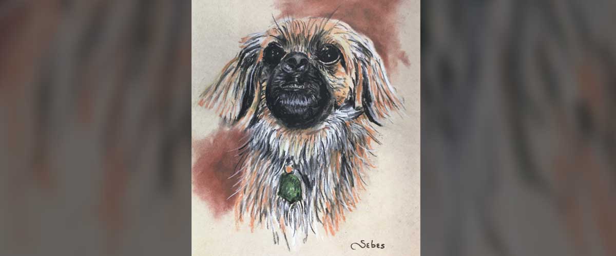 Portrait of a dog in pastels